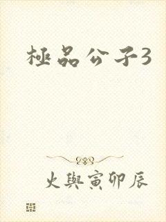 极品公子3