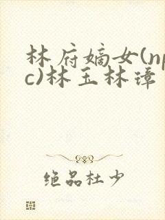 林府嫡女(npc)林玉林璋
