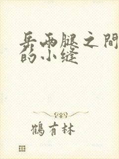 岳两腿之间白嫩的小缝