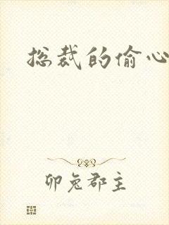 总裁的偷心娇妻