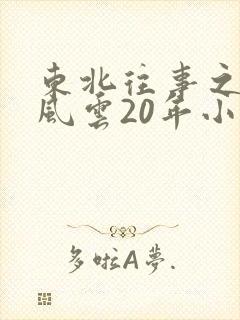 东北往事之黑道风云20年小说