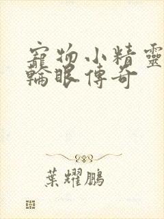 宠物小精灵之写轮眼传奇