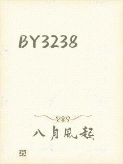 BY3238