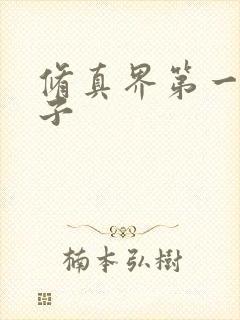 修真界第一病秧子