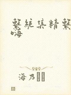 系统集精系统高嗨