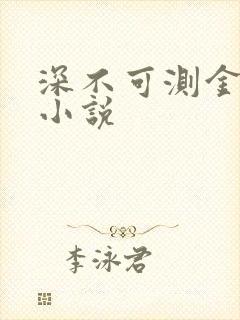 深不可测金银花小说