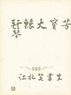 轩辕大宝芳菲雅琴