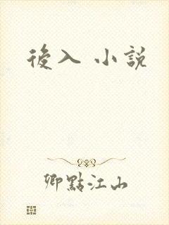 后入 小说