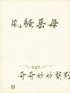 风骚岳母