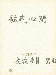 驻我心间