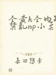 全黄h全肉短篇禁乱np小柔