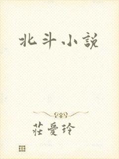 北斗小说