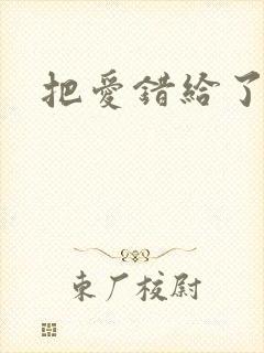 把爱错给了你