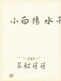 小白杨 水千丞
