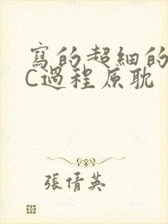 写的超细的多肉C过程原耽