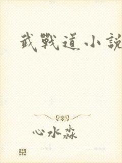 武战道小说