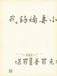 我的娇妻小说