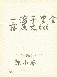 一泻千里金银花露原文txt