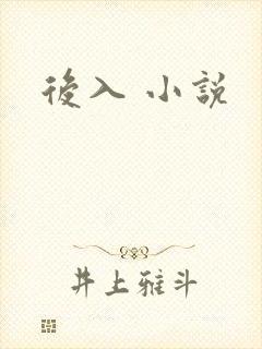 后入 小说