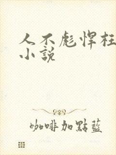 人不彪悍枉少年小说