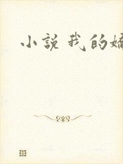 小说 我的娇妻