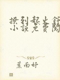 撩到起火舒漾的小说免费阅读全文