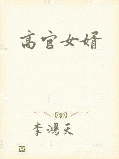 高官女婿