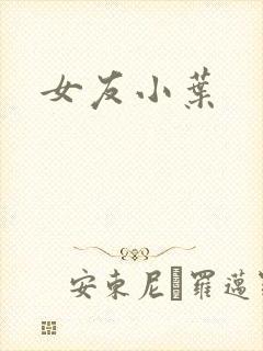 女友小叶