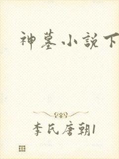 神墓小说下载
