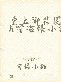 皇上御花园hlh霍冶臻小说