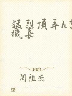 猛烈顶弄h禁欲机长