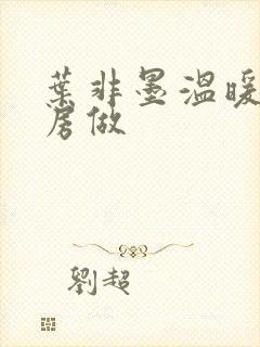 叶非墨温暖在厨房做