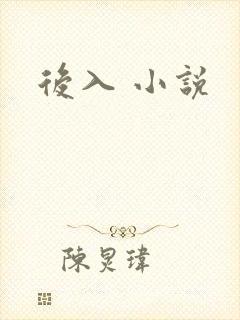 后入 小说