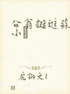 公翁挺进苏玥的小泬