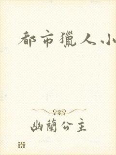 都市猎人小说