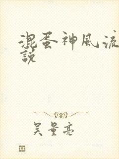 混蛋神风流史小说