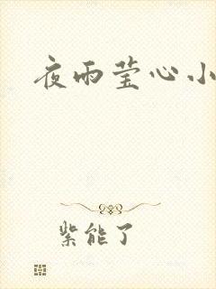 夜雨莹心小说