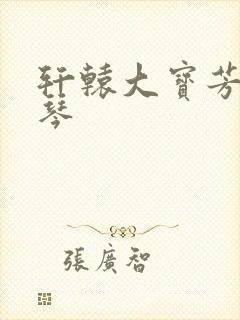 轩辕大宝芳菲雅琴