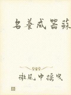 名养成器苏沫沫