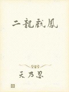 二龙戏凤
