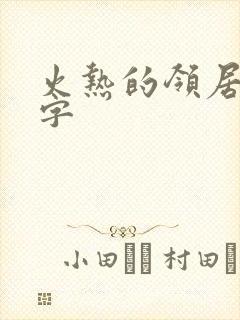 火热的领居中文字