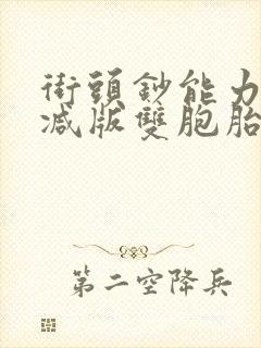 街头钞能力无删减版双胞胎