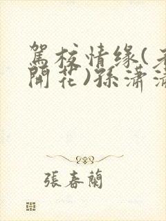 驾校情缘(老树开花)孙潇潇笔趣阁