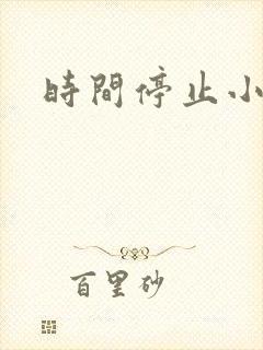 时间停止小说