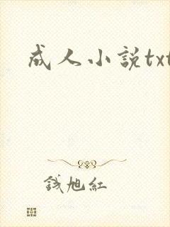 成人小说txt