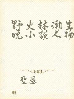 野火林潮生林晚晚小说人物野火