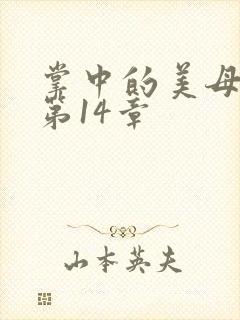 掌中的美母版主第14章