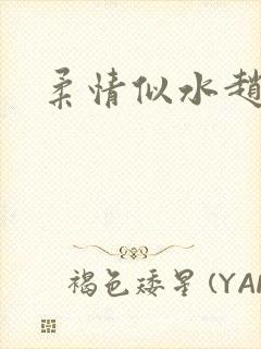 柔情似水赵雅儿