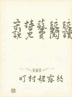 宋持苏皎皎的小说免费阅读