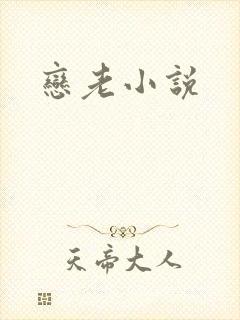 恋老小说